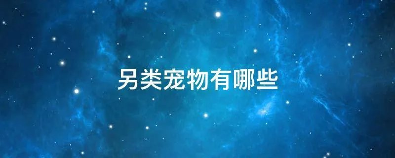 另类宠物有哪些