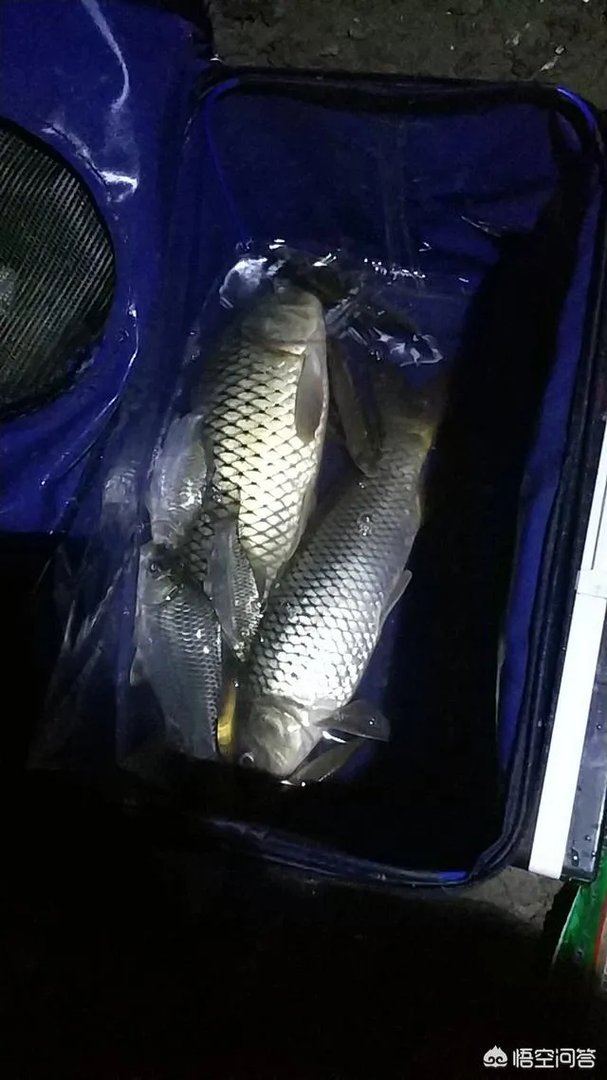 哪里有比较幽静的钓鱼的地方?