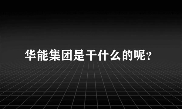 华能集团是干什么的呢？