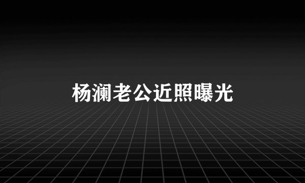 杨澜老公近照曝光