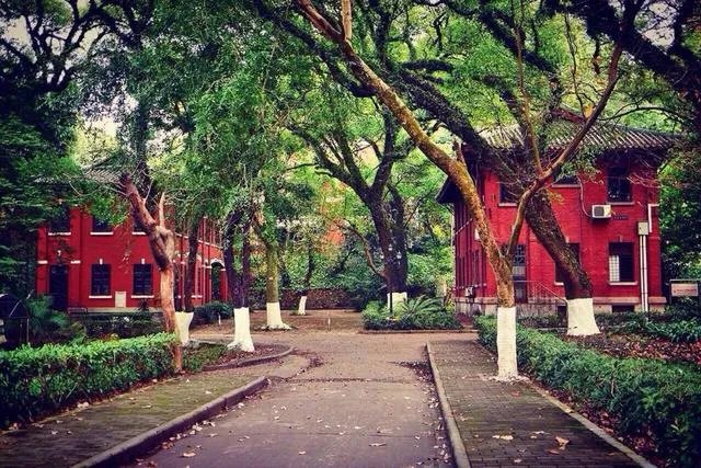 中山大学怎么样?