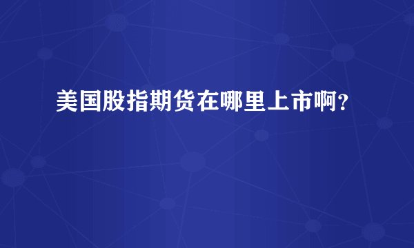 美国股指期货在哪里上市啊？