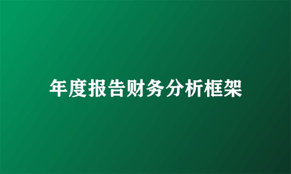 年度报告财务分析框架