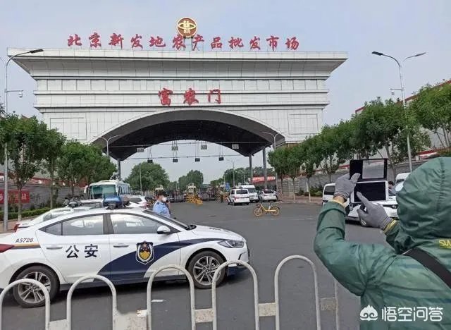 三文鱼成为新疫情“关键”。它的来源该怎样追踪?