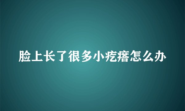 脸上长了很多小疙瘩怎么办