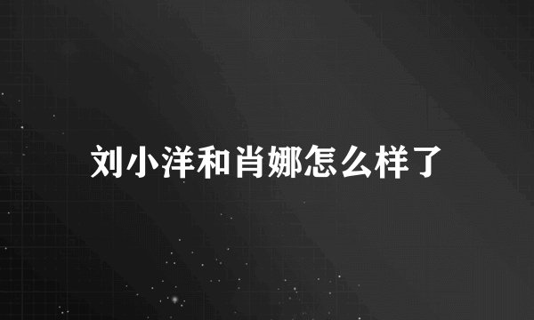 刘小洋和肖娜怎么样了