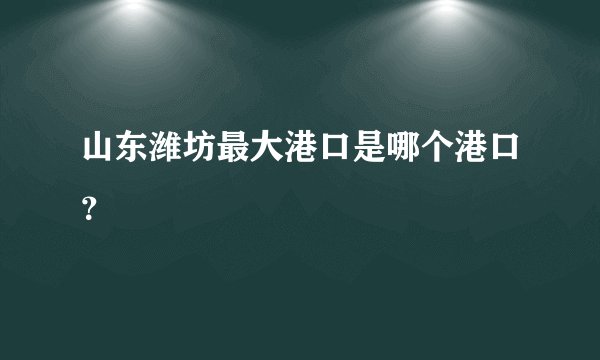 山东潍坊最大港口是哪个港口？