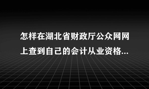 怎样在湖北省财政厅公众网网上查到自己的会计从业资格证号及相关信息