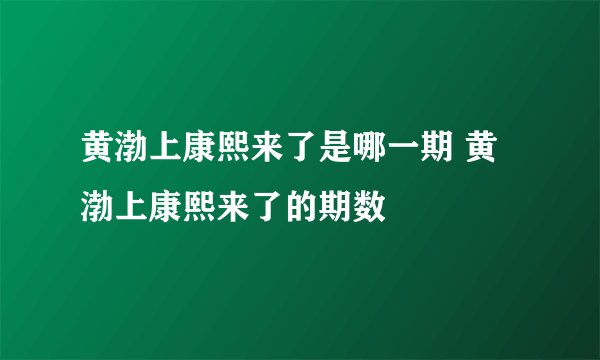 黄渤上康熙来了是哪一期 黄渤上康熙来了的期数