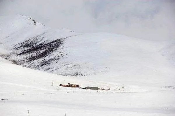 青海祁连山突降大雪,对当地游客有何影响?