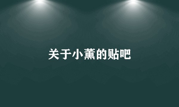 关于小薰的贴吧