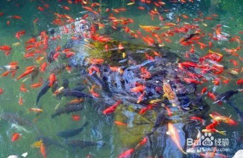 济南必游景点