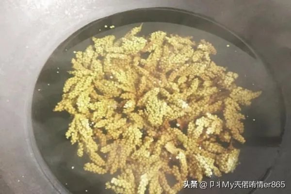 棕榈树花的吃法?