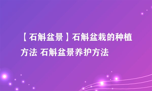 【石斛盆景】石斛盆栽的种植方法 石斛盆景养护方法