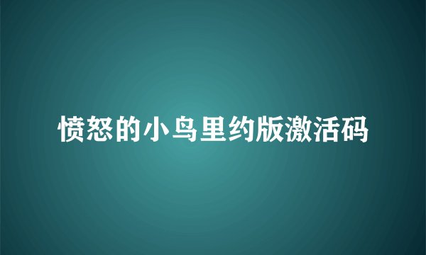 愤怒的小鸟里约版激活码
