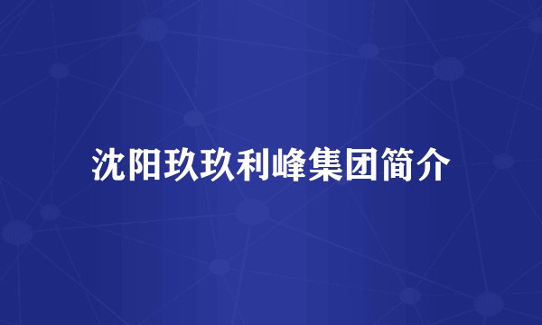 沈阳玖玖利峰集团简介