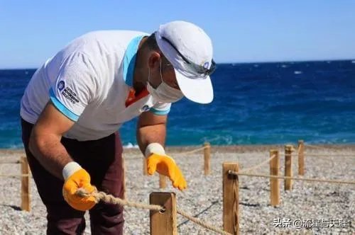 6月20日全球疫情观察：巴西单日死亡病例连续4日超1200例，控制不住了吗？