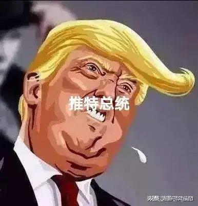 特朗普表态放弃权力离开白宫,但又说永远不承认失败,这是为什么?