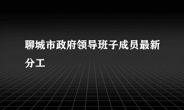 聊城市政府领导班子成员最新分工