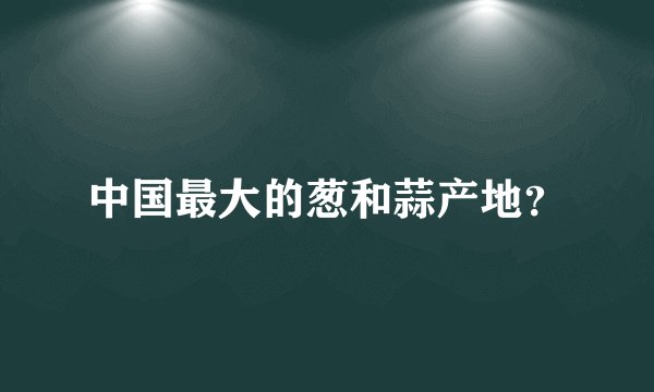 中国最大的葱和蒜产地？