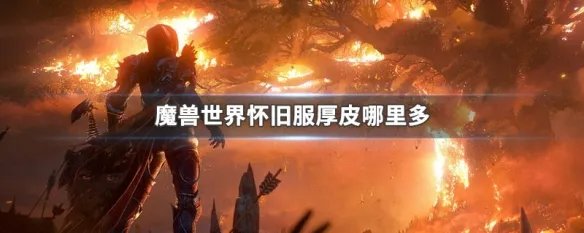 魔兽世界怀旧服厚皮哪里多