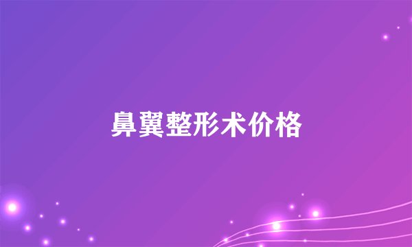 鼻翼整形术价格