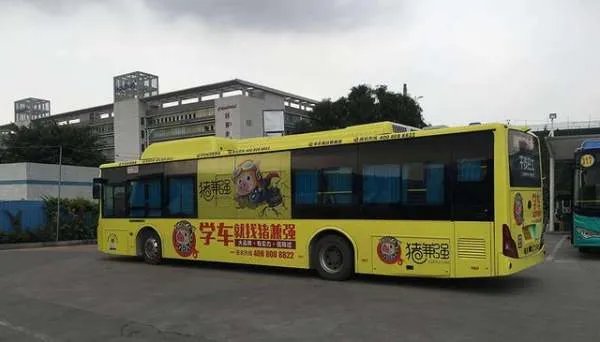 知名驾校猪兼强的经营模式是怎样的,如今为何会负债累累?