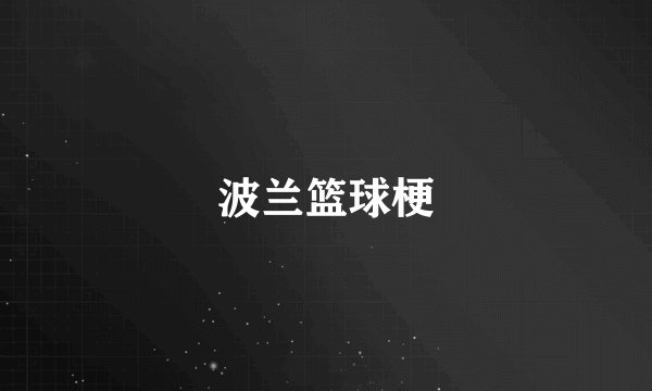 波兰篮球梗