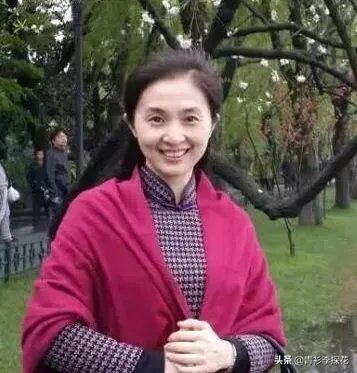 最近深圳名师胡红梅因为学术抄袭在网上很火,网友们怎么看她的成名之路呢?