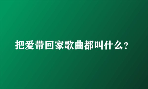 把爱带回家歌曲都叫什么?