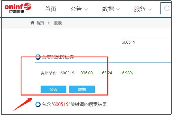 巨潮资讯网查上市公司年报