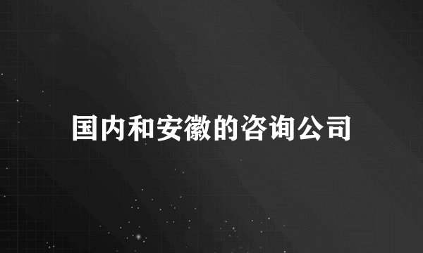 国内和安徽的咨询公司
