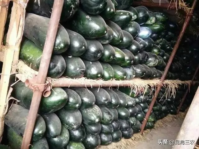 冬瓜采收回来后,有哪些贮藏方法可以让冬瓜贮藏的时间更长?