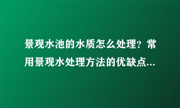 景观水池的水质怎么处理?常用景观水处理方法的优缺点及应用场景。