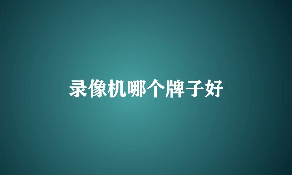 录像机哪个牌子好