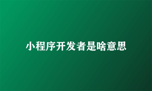 小程序开发者是啥意思