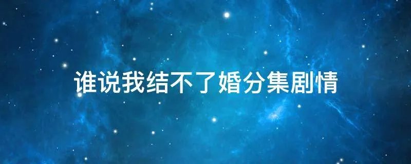 谁说我结不了婚分集剧情