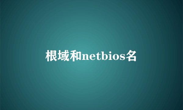 根域和netbios名