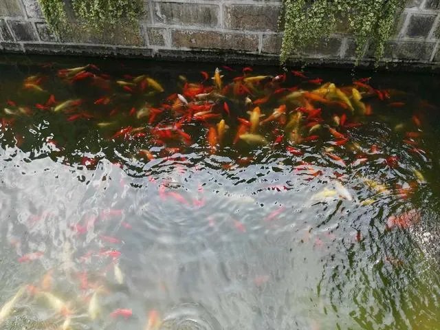 上海的豫园好玩吗?值得一去吗?