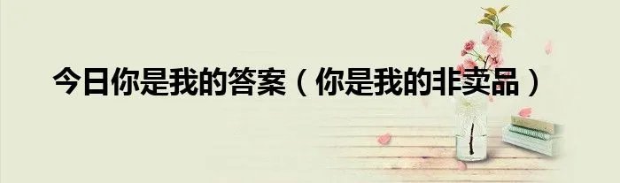 今日你是我的答案（你是我的非卖品）