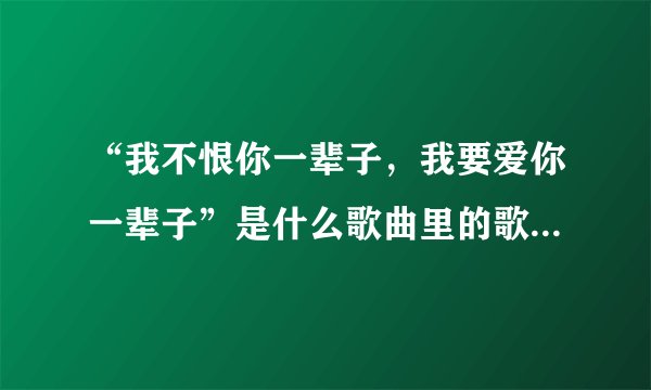 “我不恨你一辈子，我要爱你一辈子”是什么歌曲里的歌词？谢谢！