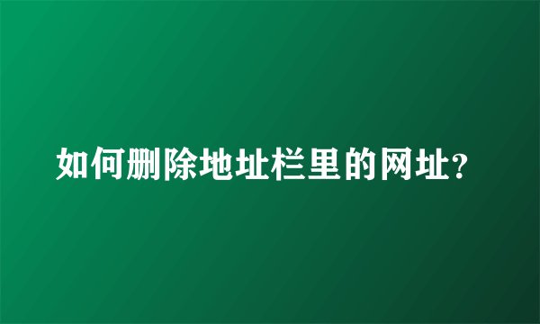 如何删除地址栏里的网址？