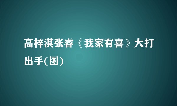 高梓淇张睿《我家有喜》大打出手(图)