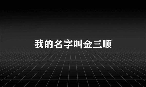 我的名字叫金三顺