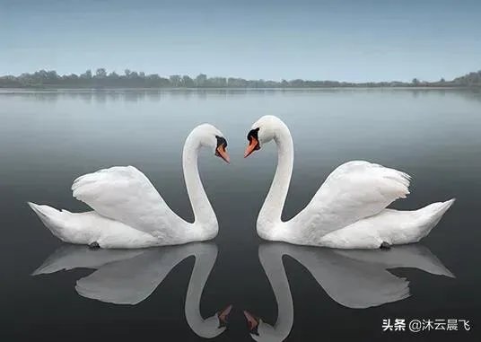 有什么惊艳的句子?