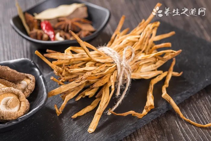 风铃草好养吗