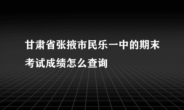甘肃省张掖市民乐一中的期末考试成绩怎么查询