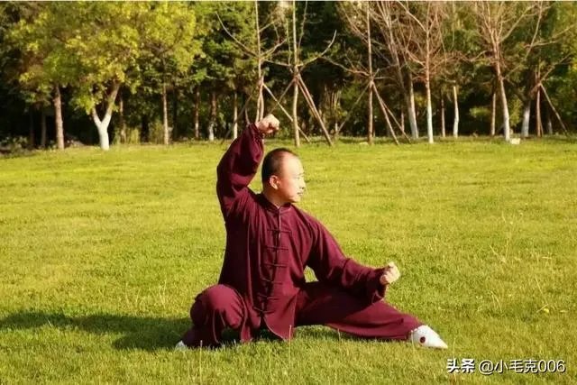 如何评价太极推手?