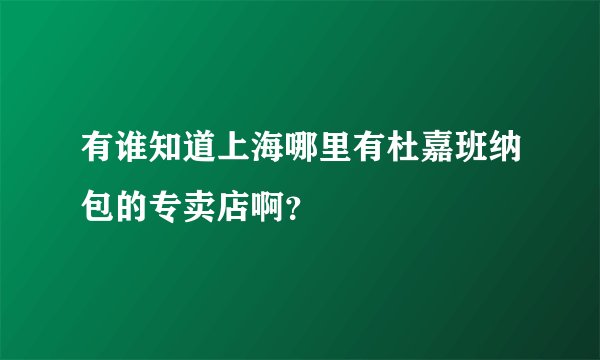 有谁知道上海哪里有杜嘉班纳包的专卖店啊?