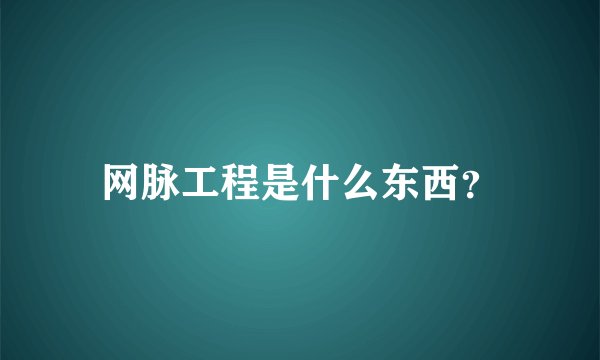 网脉工程是什么东西？